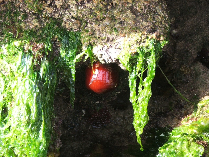 2005_0326Image0089