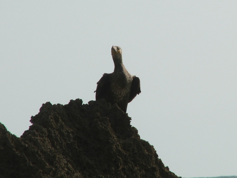 2005_0326Image0103