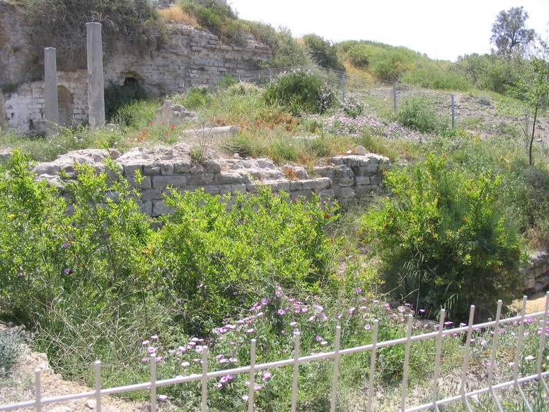 Ashkelon 007