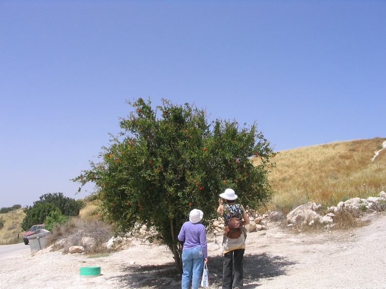 Beit Govrin 013
