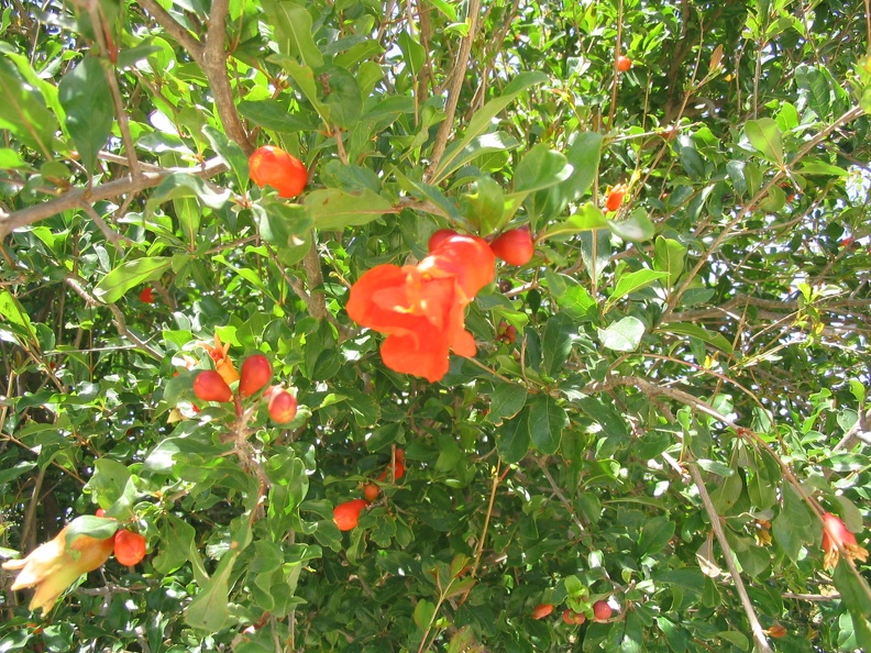 Beit Govrin 015