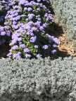 Upper Galilee 002