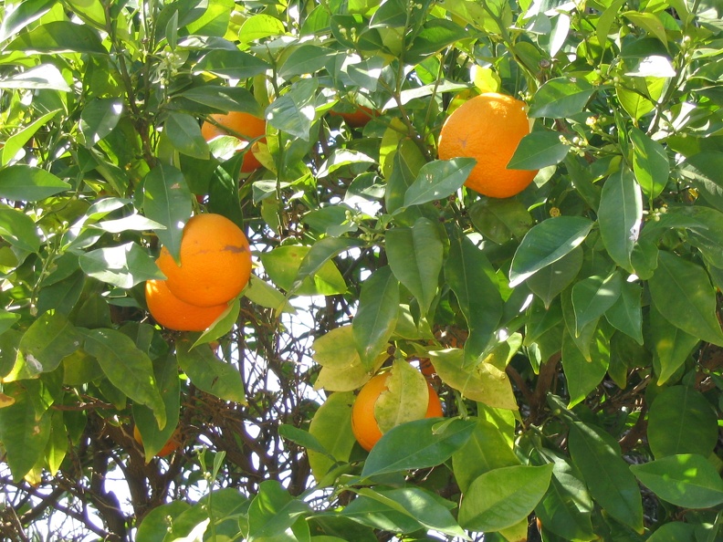 Upper Galilee 014