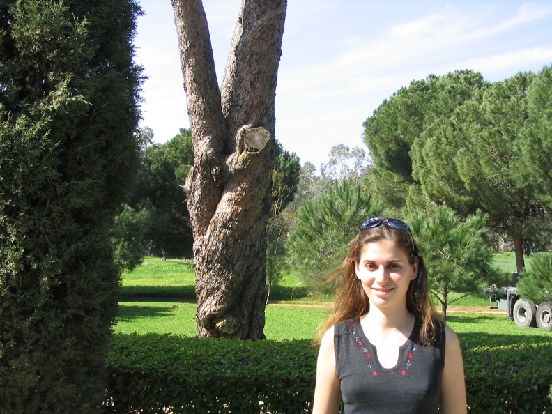 Upper Galilee 027