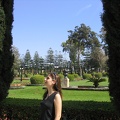 Upper Galilee 028