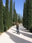 Upper Galilee 034