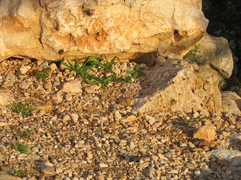 Upper Galilee 047