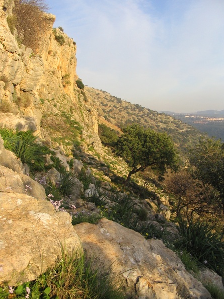 Upper Galilee 053