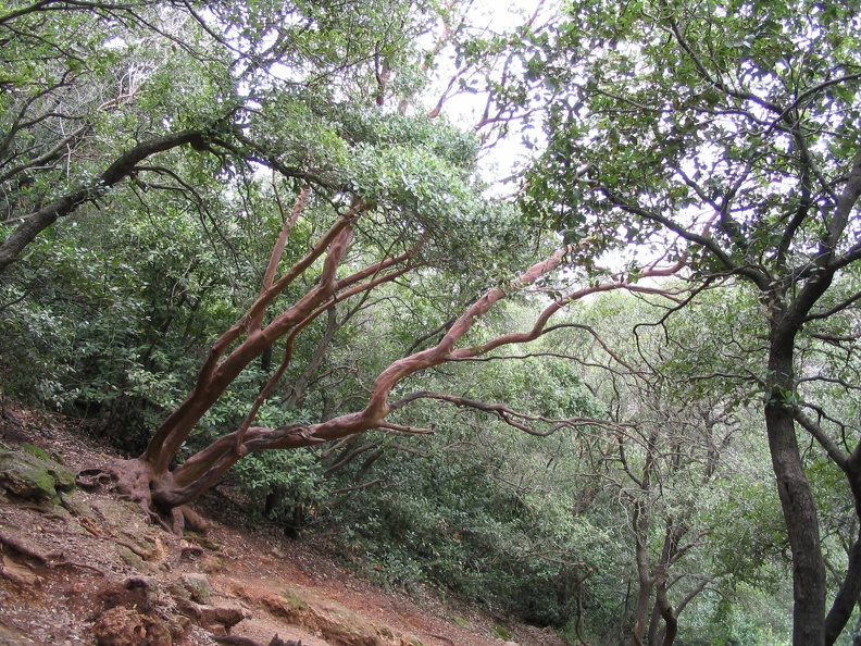 Upper Galilee 095