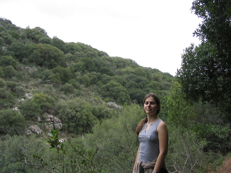 Upper Galilee 102