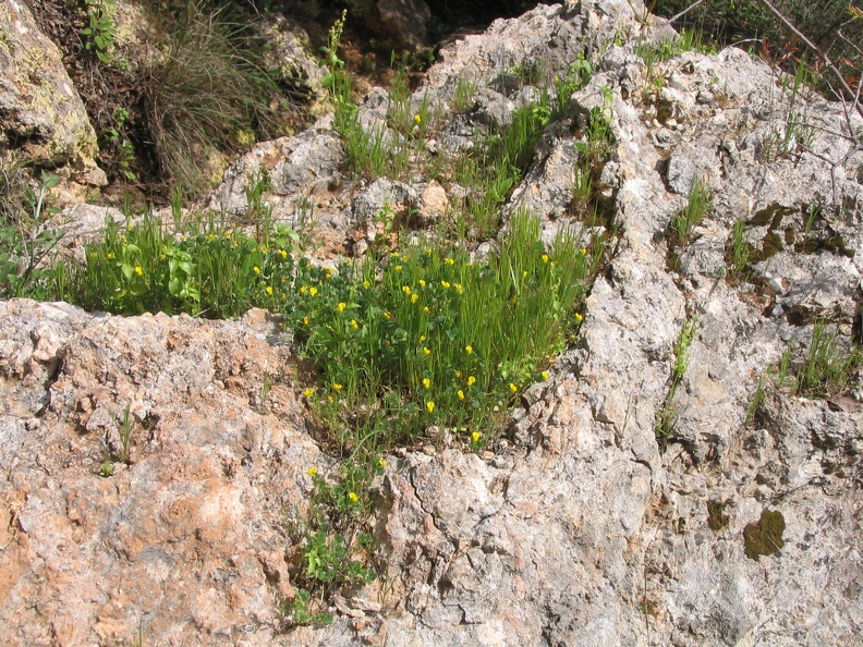 Upper Galilee 122