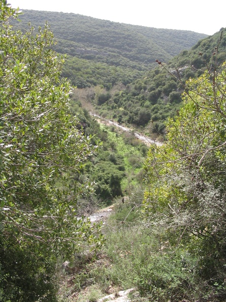 Upper Galilee 124