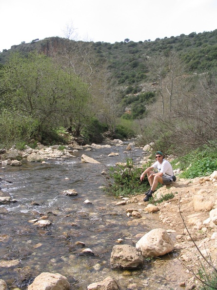 Upper Galilee 133