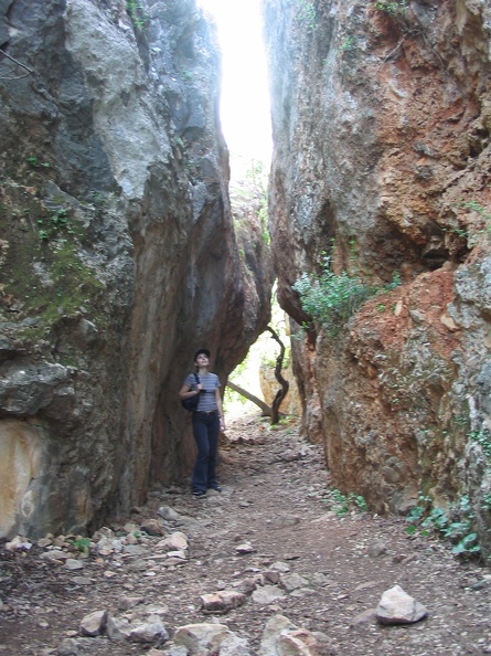 Upper Galilee 156