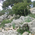 Upper Galilee 160