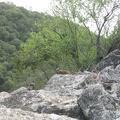 Upper Galilee 165
