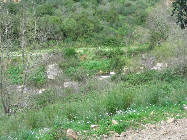 Upper Galilee 173