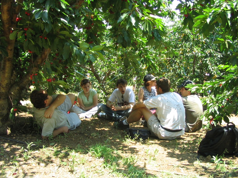 Bustan 010