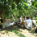 Bustan 010