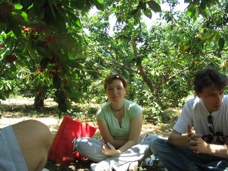 Bustan 011
