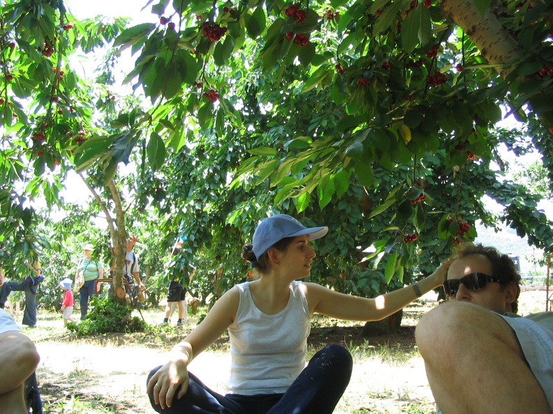 Bustan 012