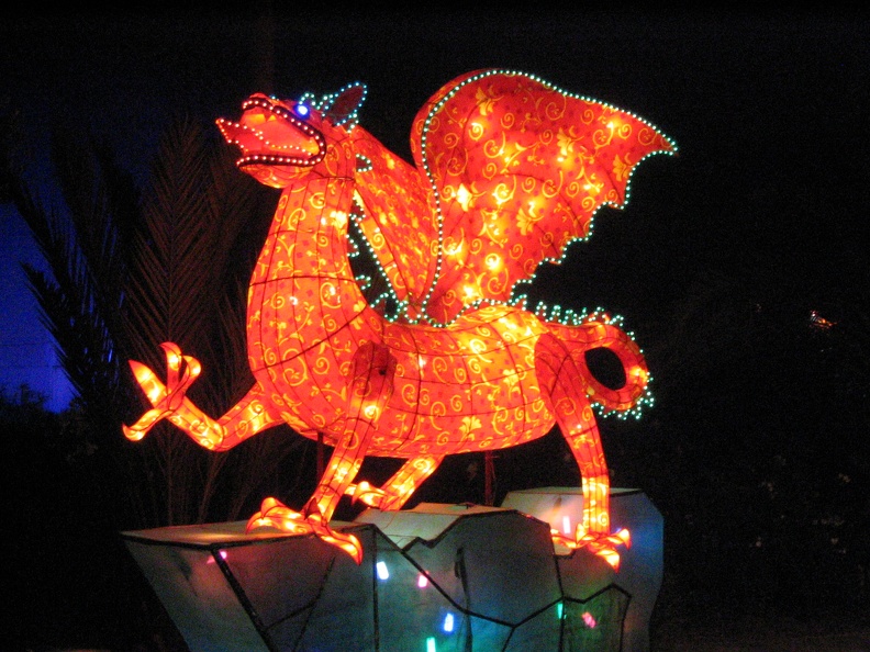 Dragons 037
