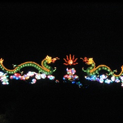 Dragons Exhibition