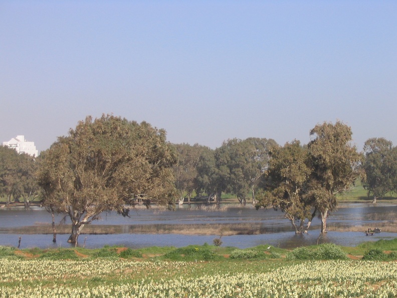 Netanya 004