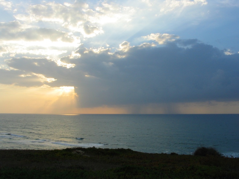 Apollonia 021