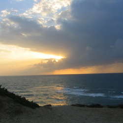 Apollonia Park, 19-Nov-2005