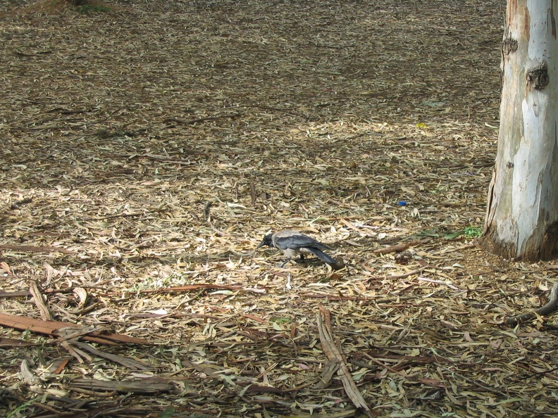 Yarkon Park 005