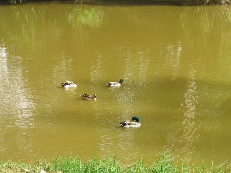 Yarkon Park 009