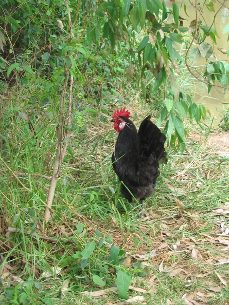 Yarkon Park 012