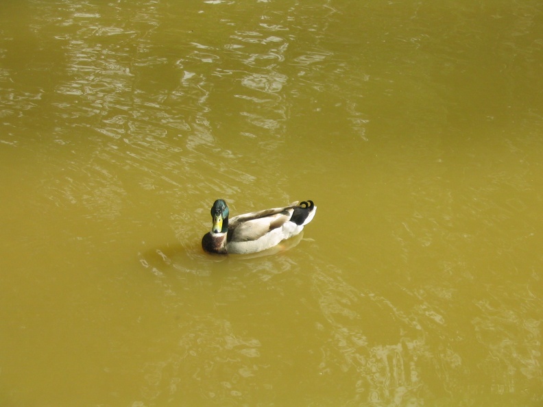 Yarkon Park 013