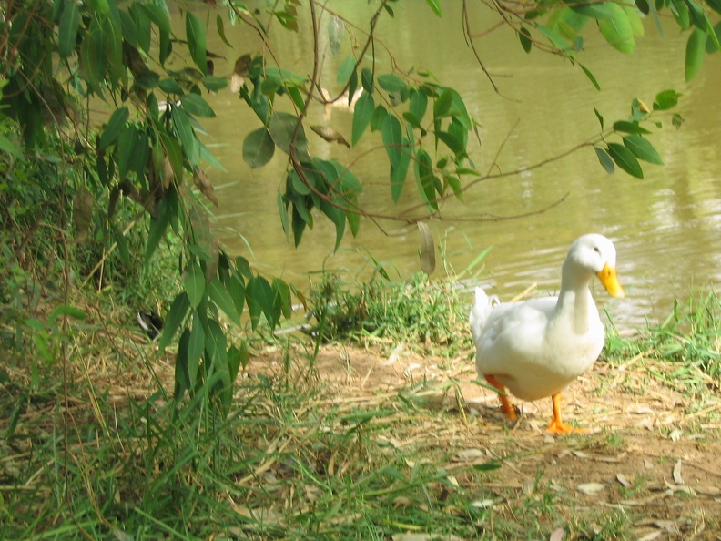 Yarkon Park 023