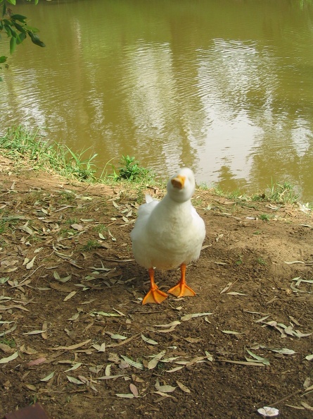 Yarkon Park 024