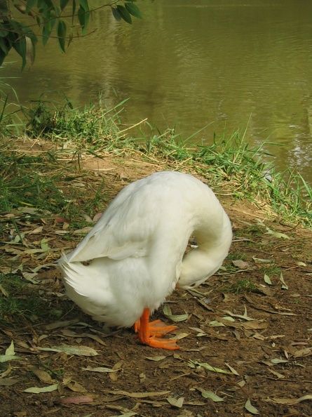 Yarkon Park 027
