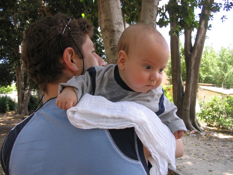 Meir 018