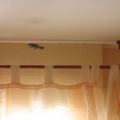 Flying Hummingbird, 5-May-2006