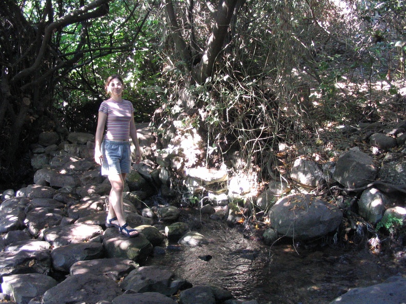 Golan 077