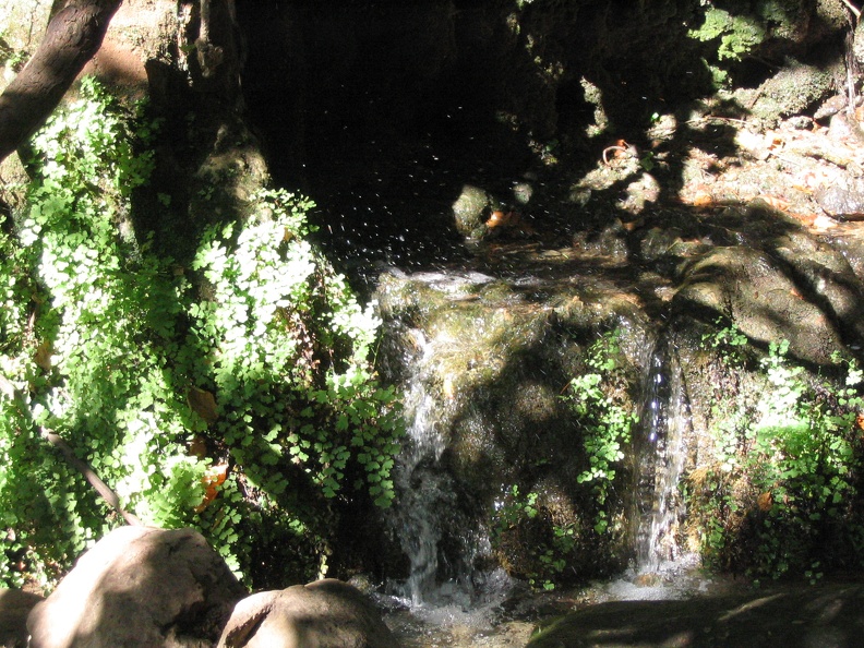 Golan 080