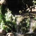 Golan 080