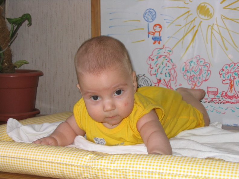 Meir 008