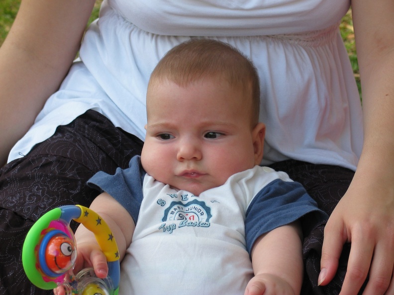 Meir 011