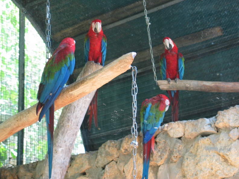 Zoo 017