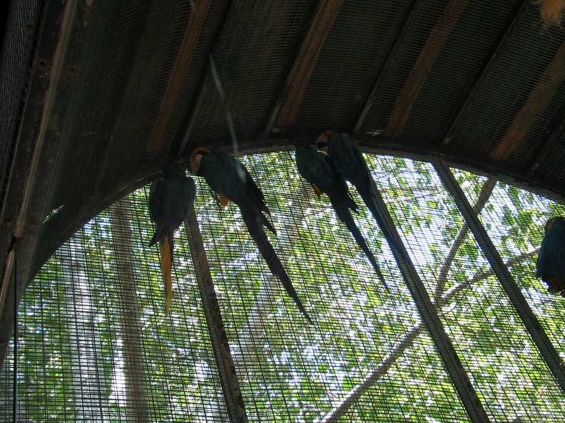 Zoo 018