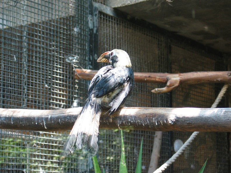 Zoo 019
