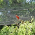 Zoo 021