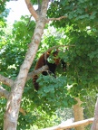 Zoo 028