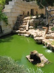 Zoo 029
